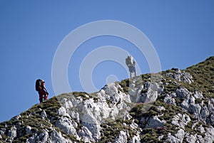 Mountaineers