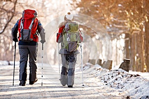 Mountaineers walks through forest