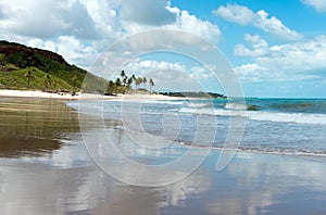 Mountainous Brazilian coastline