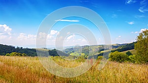 mountainous carpathian countryside scenery in summer