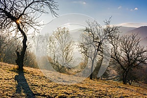 mountainous carpathian countryside at sunrise in autumn