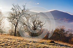 mountainous carpathian countryside at sunrise in autumn