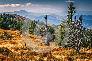 Hornatá krajina v národnom parku Malá Fatra.