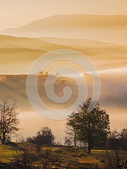 mountainous countryside landscape at dawn