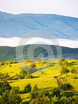 mountainous countryside scenery in morning light