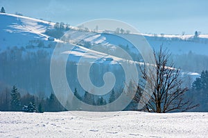 Mountainous countryside in wintertime