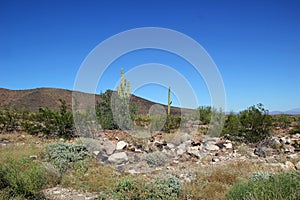 Mountainous Desert Landscape  photo