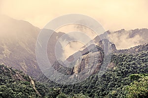 Mountainous Forest Landscape in China