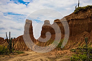 mountainous formations in the sandy desert with many cacti