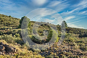 Mountainous landscape of the Alpujarra near Berja photo