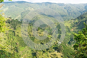 Mountainous landscape with coffee farms and sunny hillside