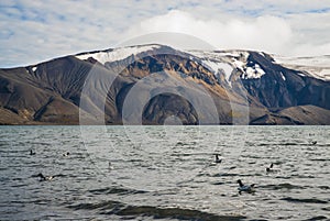 Mountainous landscape on Deception Island,