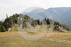 Mountainous landscape with a forested outcrop and fields