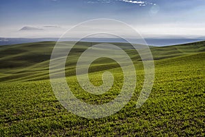 Mountainous landscape of green grass during spring