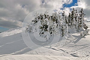 Winter mountain landscape. Snow at high altitude - Ciucas Mountains, landmark attraction in Romania