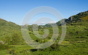 Mountainous Landscape in Spring Green