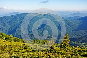 mountainous nature scenery on a sunny day in summer