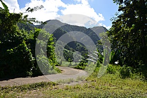 Mountainous path, Saint Lucia, Lesser Antilles, Carribean Sea