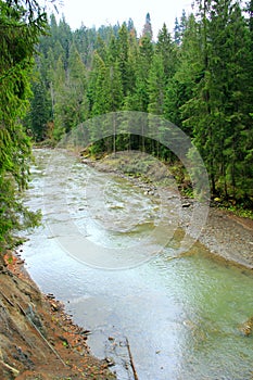 Mountainous river in forest of Carpathian mountains