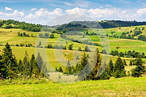 Mountainous rural landscape on a sunny day