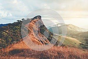 Mountainous Sunset and forest landscape