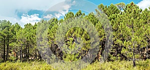 Mountains of Albarracin