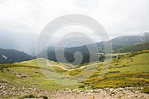 Mountains with Alpine Meadows and Green Forest in Sochi. Krasnaya Polyana