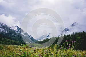 Mountains of Altay photo