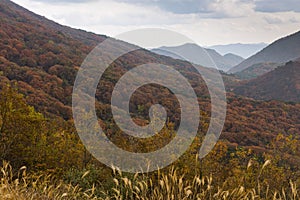 Mountains around Gwangju