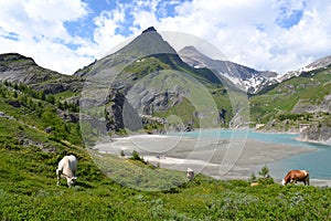 Mountains Austrian Alps Glacier Pasterze