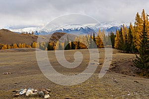 Mountains autumn forest snow