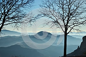 mountains and bare trees with fog