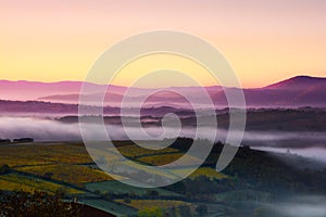 Mountains of Beaujolais with first morning lights, France