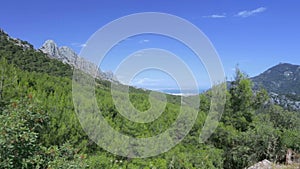 Mountains, blue sky and trees