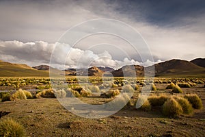 Mountains of Bolivia, altiplano