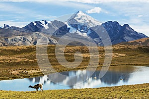 Mountains in Bolivia