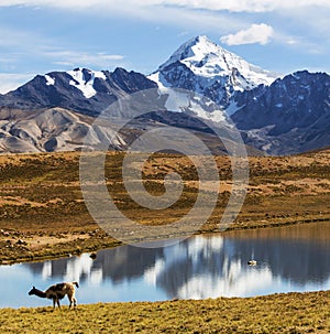 Mountains in Bolivia