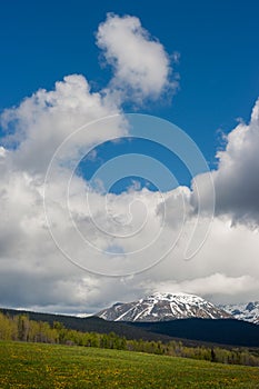 Mountains, Boreal Forest and the Wide Sky