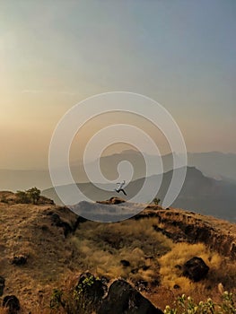 the mountains are calling and i must go