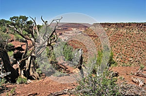 Mountains of Capitol Reef National Park