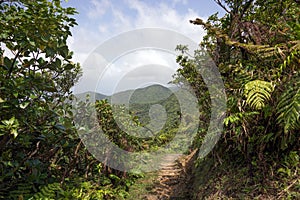 Mountains on Caribbean island of Dominica