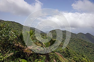 Mountains on Caribbean island of Dominica