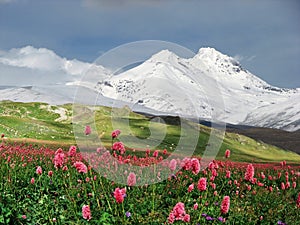 Mountains Of The Caucasus.