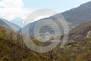 In the mountains of Chechnya in the spring.