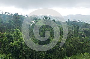 Mountains and Cloud Forest of Jayuya photo