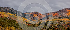 Mountains with colorful foliage in Uinta Wasatch Cache national fores