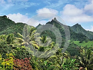 Mountains covered by dense tropical vegetation on Rarotonga Island, Cook Islands