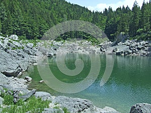 Mountains covered with forest and lake. Mountain panorama with forest and river