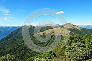 Mountains covered by forest landscape in summer