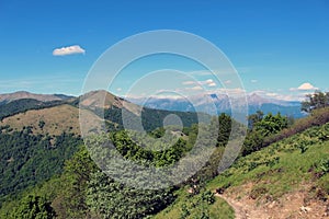 Mountains covered by forest landscape in summer